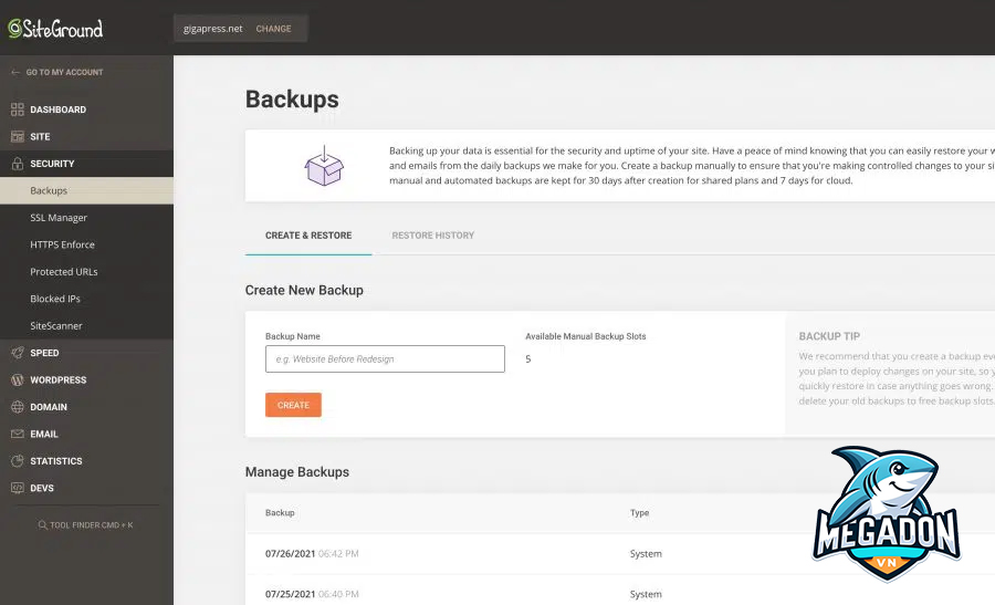 Backup Website