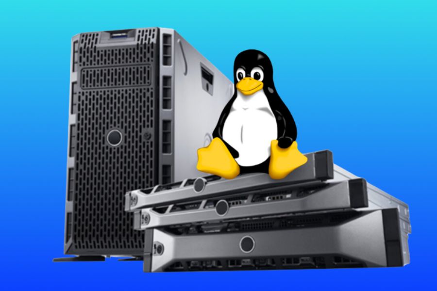 Linux hosting là gì