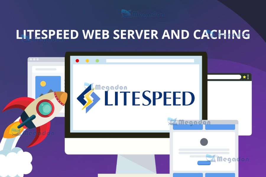 Server LiteSpeed Cache