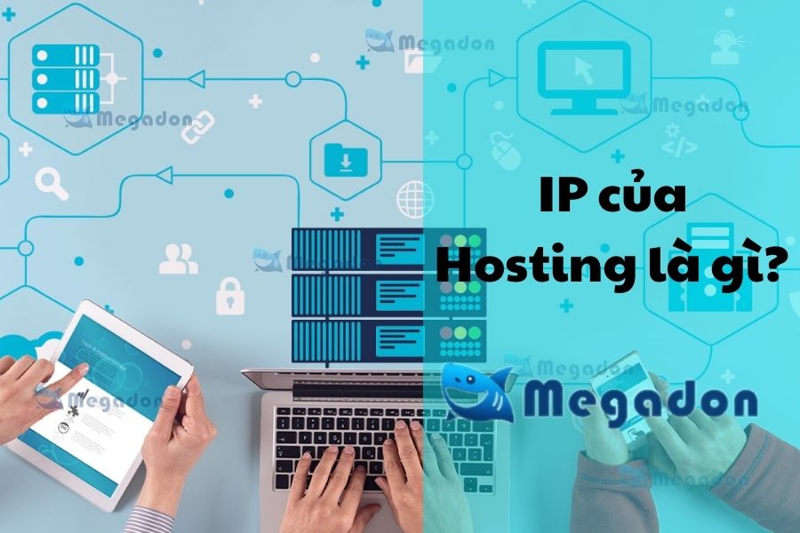 IP của hosting là gì?